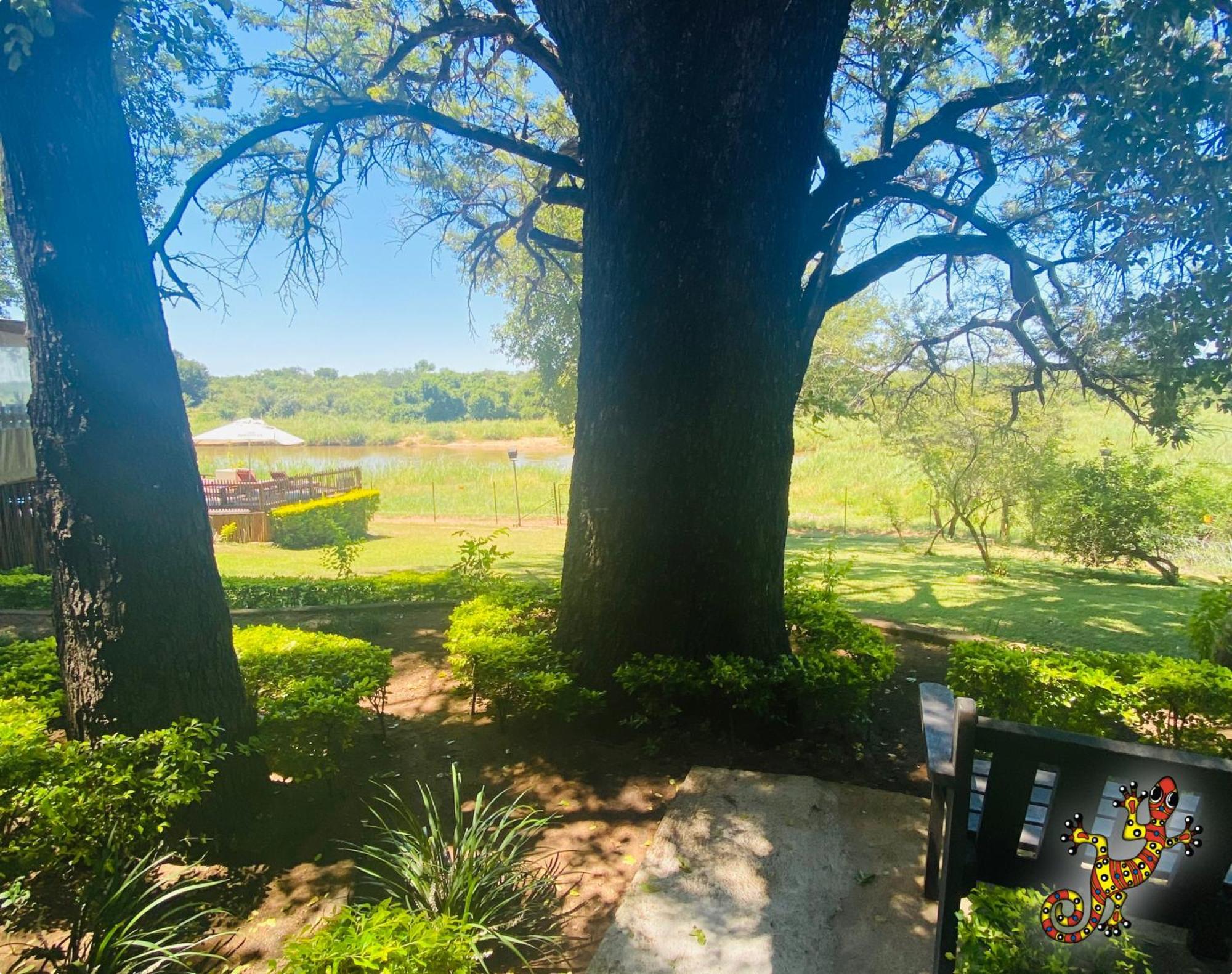 Sabie River Bush Lodge Hazyview Kültér fotó